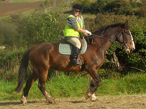 Ann O'Donnell taking part in the Bothar Charity Ride