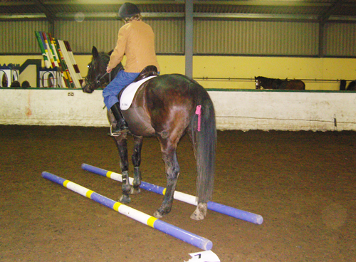 SAMSUNG DIGITAL CAMERA