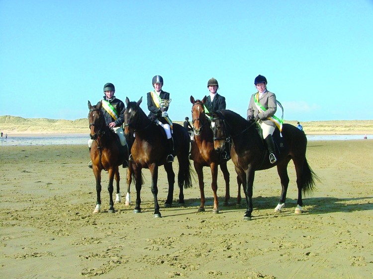 showjumping challenge