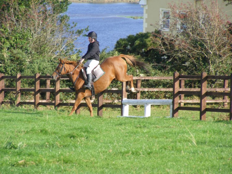 cross country sept 2013 001