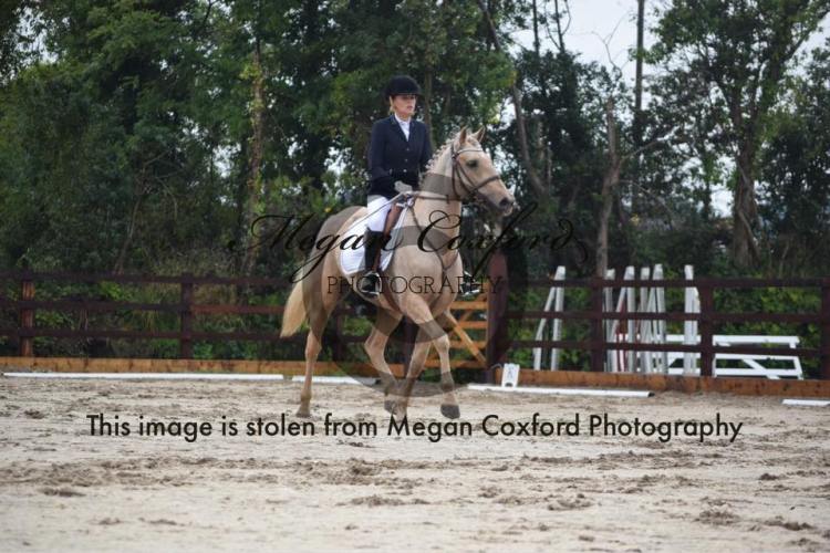 70939946_463692540896516_473603170396798976_n