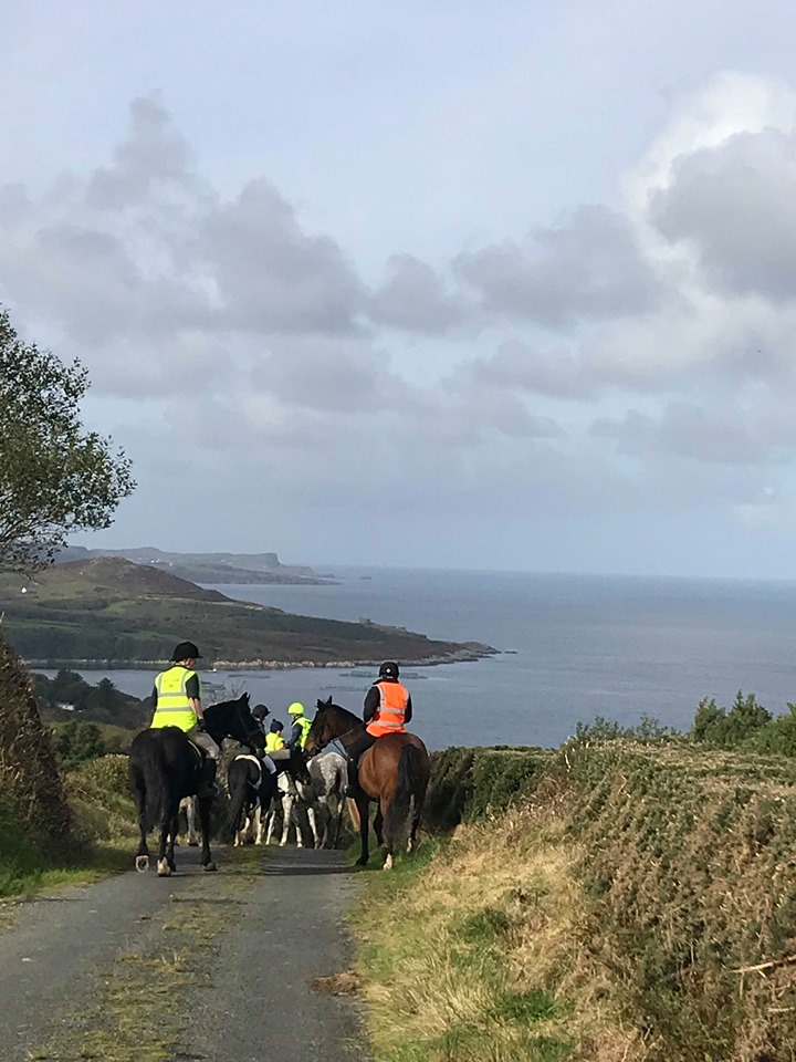 71745866_1416215708543834_2061351008046415872_n