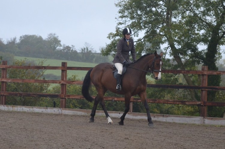 72285023_2306674492791566_3490600048369074176_n