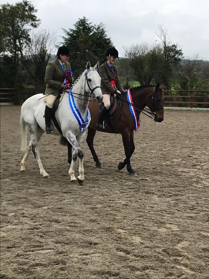 Showing & Working Hunters – Letterkenny Riding Club