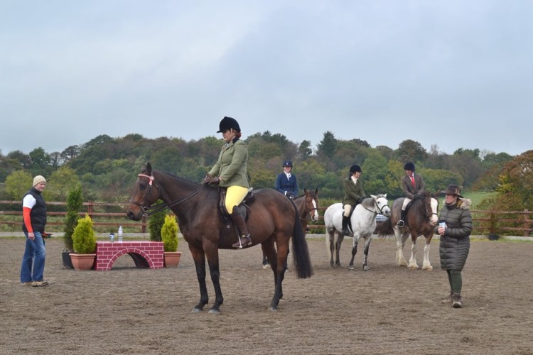 72478286_2306667516125597_3740855448970985472_n