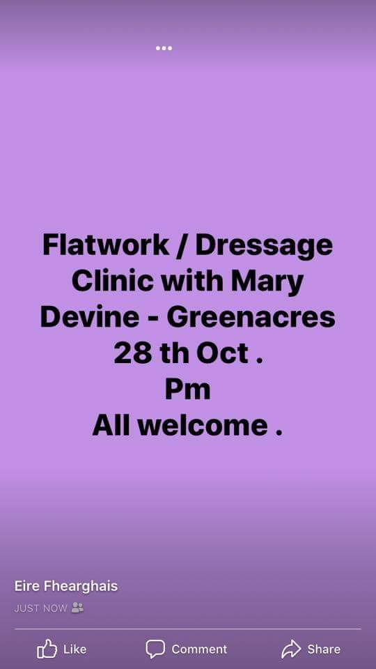 FB_IMG_1570876720353