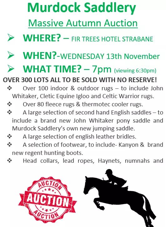 FB_IMG_1573194818596