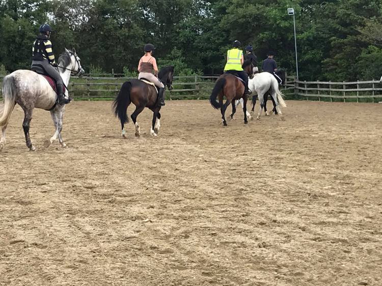 106129966_972894446462775_3042698336723562141_n